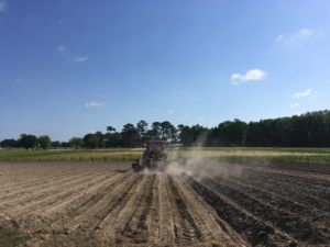 Cover photo for PFP21: Soybean Planting Date