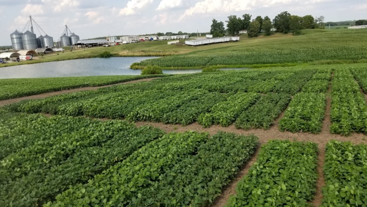 Behind Planting My Full Season Soybeans: What Maturity Group Can I