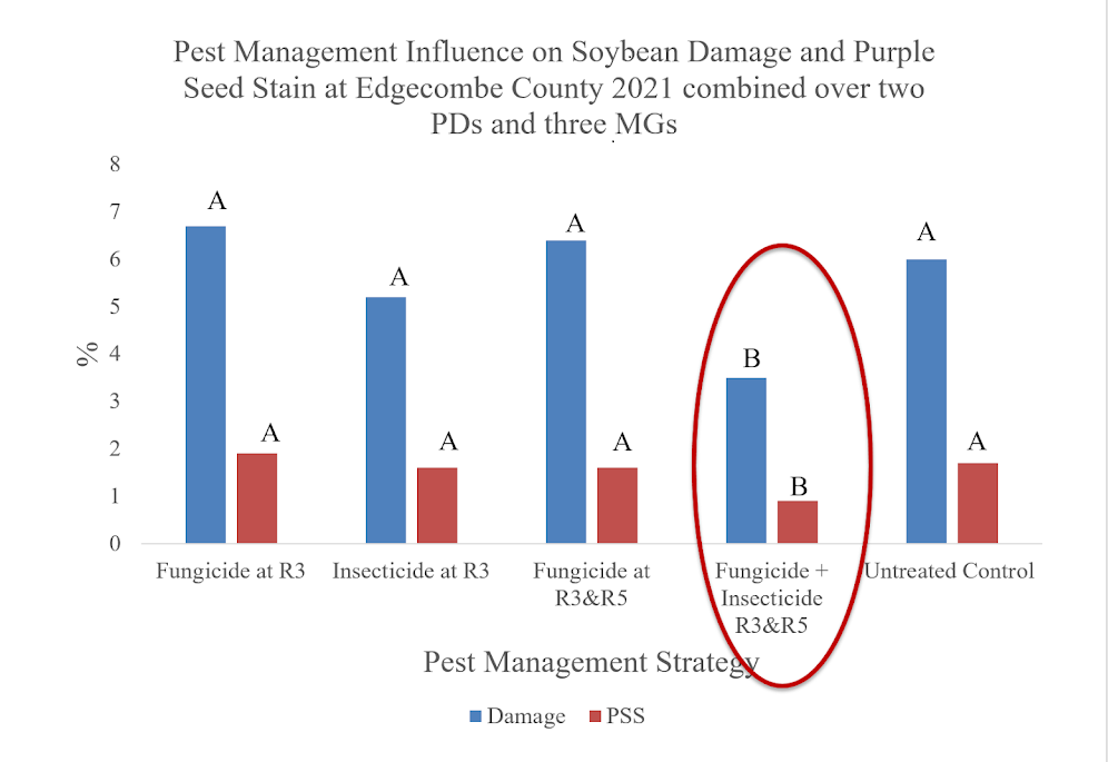 Chart showing pest management influence on soubean damage and purple seed stain. Fungicide + Insecticide R3&R5 is highlighted.
