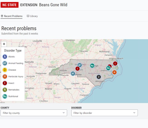 Introducing Beans Gone Wild! | NC State Extension