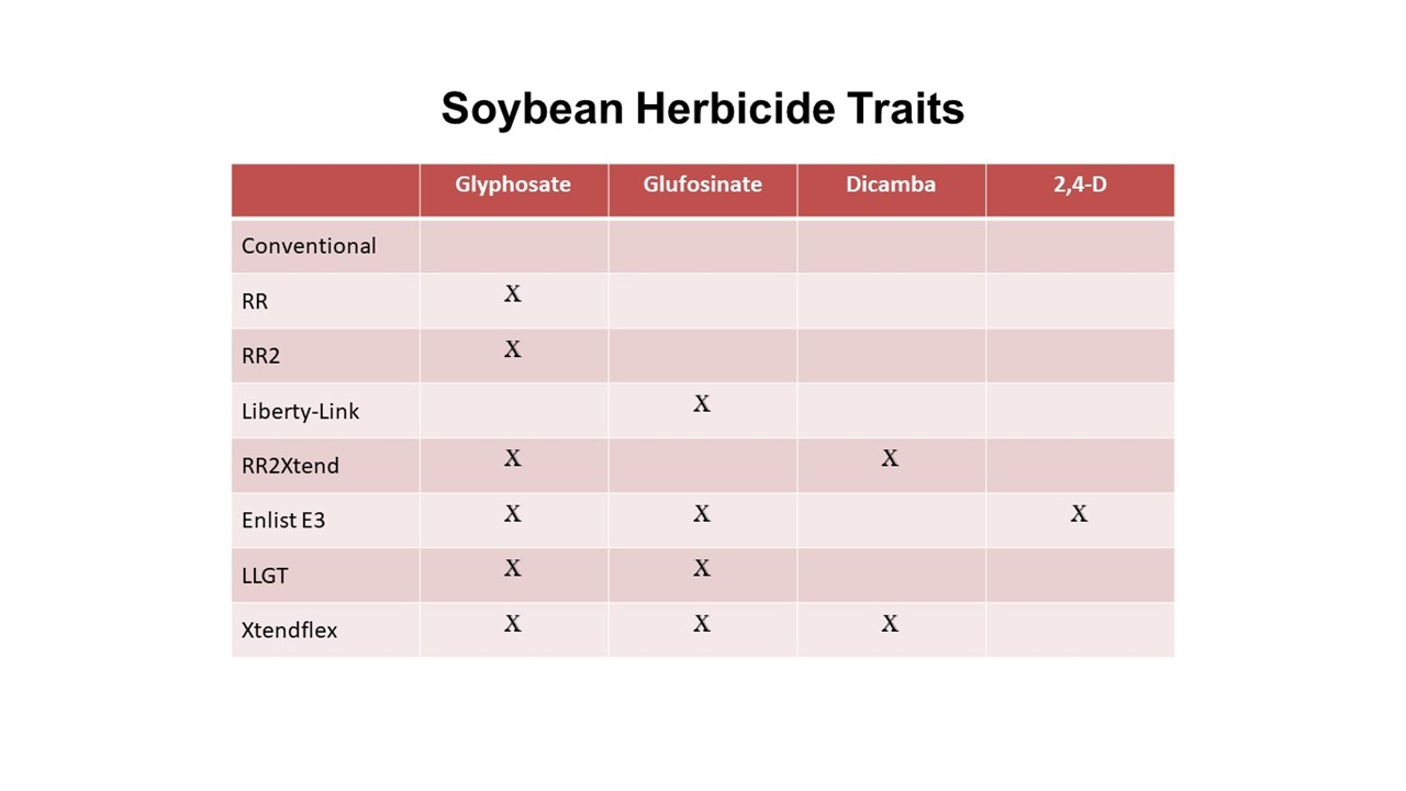 Soybean Herbicide Traits