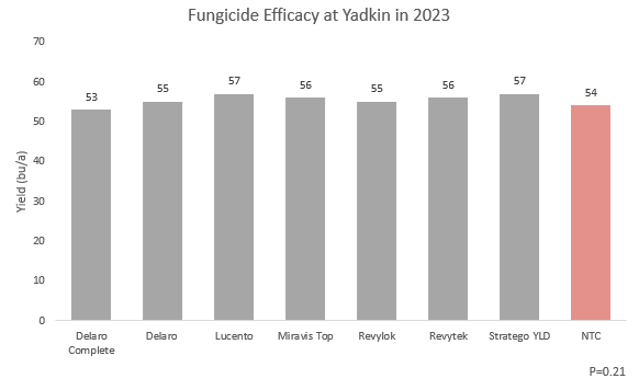 Figure 9. Effect of a fungicide on yield at Yadkin County trial.